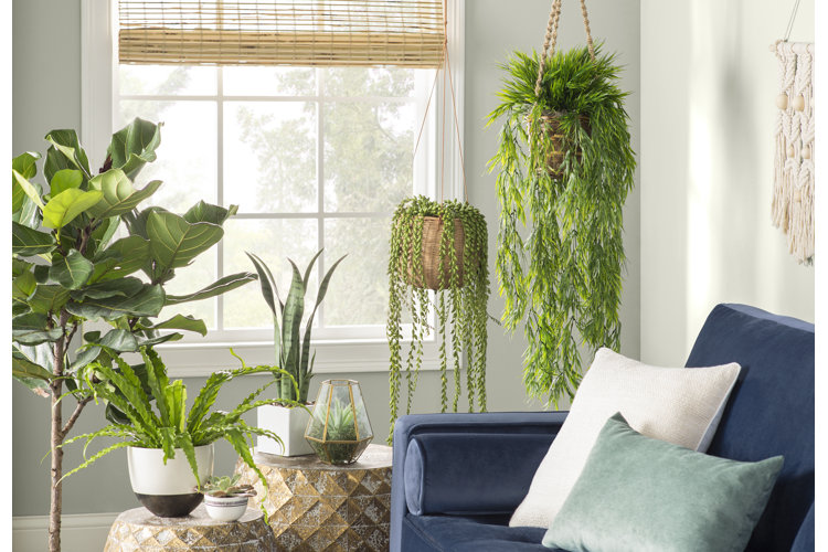 Decorating With Houseplants: 15 Indoor Plants Decor Ideas