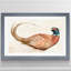 «Pheasantry I», reproduction sur papier encadrée-919043143-919043140