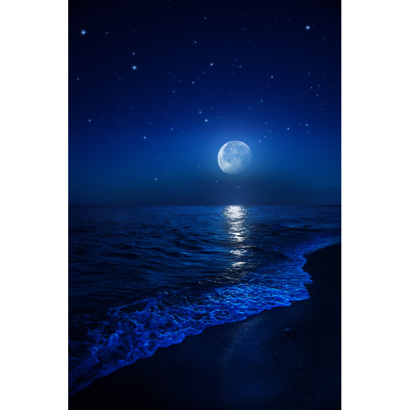 Rising Moon Over Sea by Da-Kuk - Wrapped Canvas Print, 91cm H x 61cm W x 3.8cm D