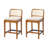 Jaime Coastal Counter Height Counter Stool with Rattan-Look Backrest (Set of 2)-546449275