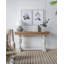 Branche d'eucalyptus
