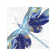 Blue Dragonfly by Eva Watts - Print on Canvas