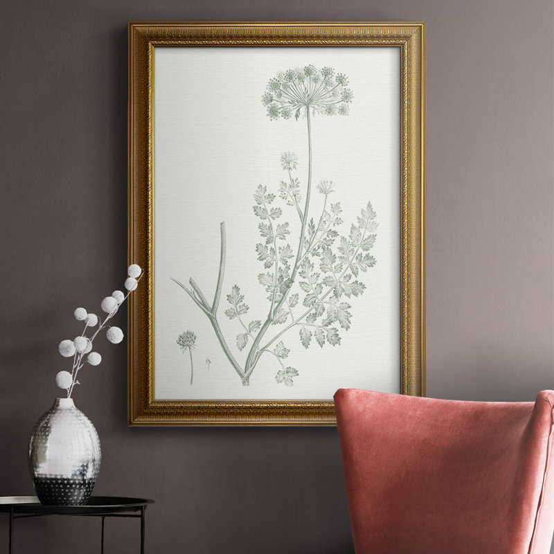 " Botanical Study In Sage V ", 20" H x 16" W x 2.5" D