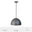 Luminaire suspendu moyen 1 lumière Hunter Erling-114532206