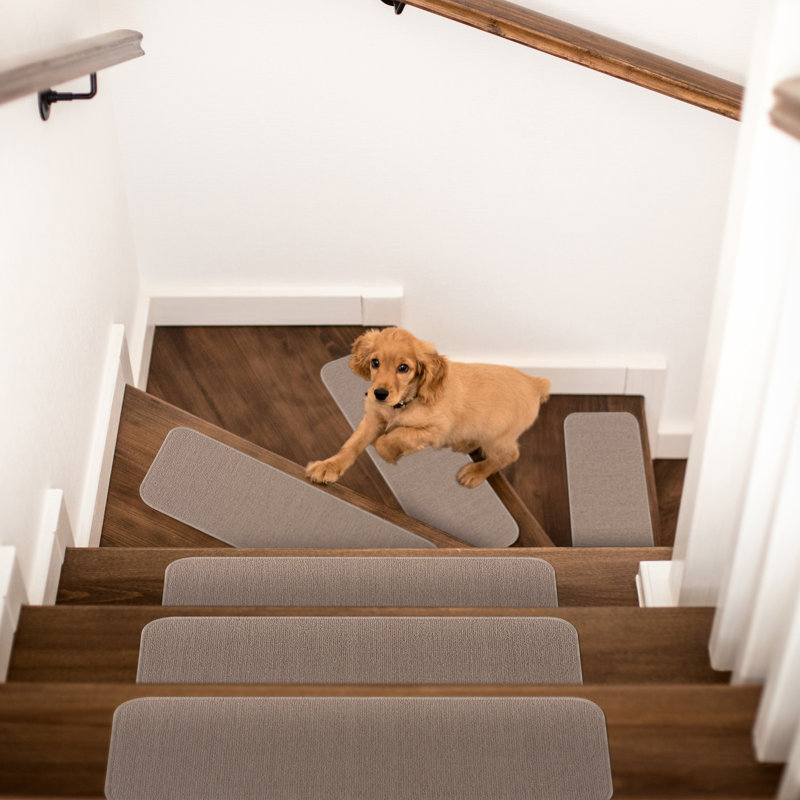 Tapis d'escalier Auberon, Beige