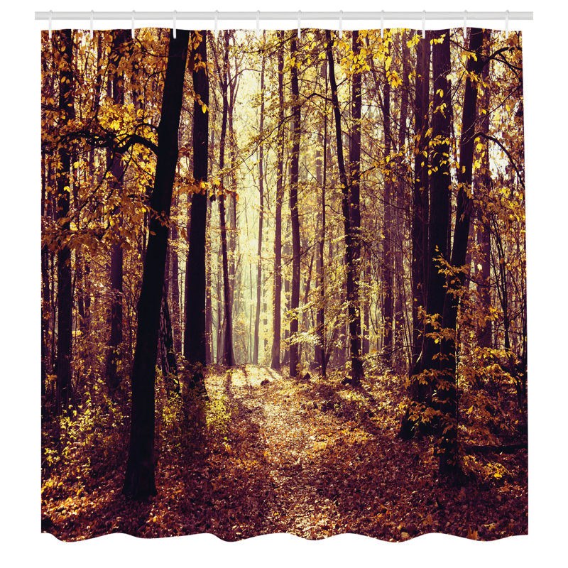 Ensemble de rideau de douche Forest + crochets, H 70 po x l 69 po
