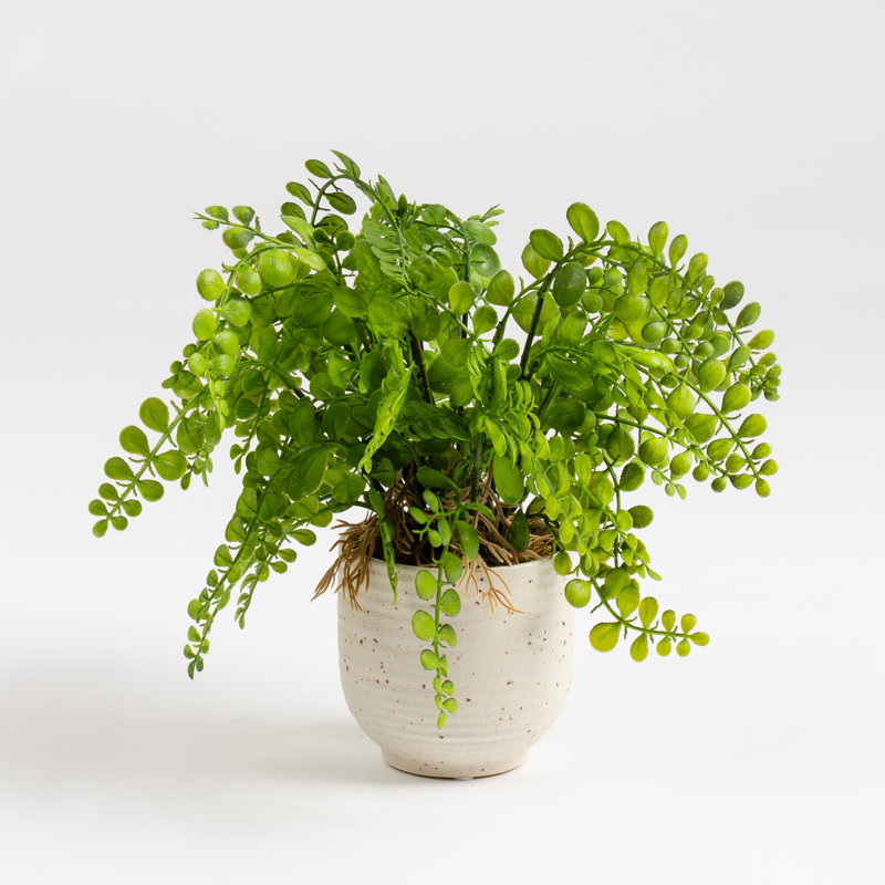 28cm Faux Fern in Speckled Ceramic Pot