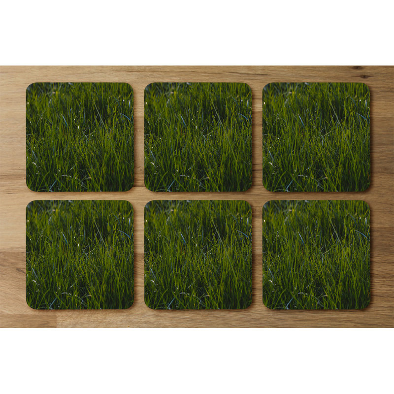 Dubreuze Square 6 Piece Coaster Set
