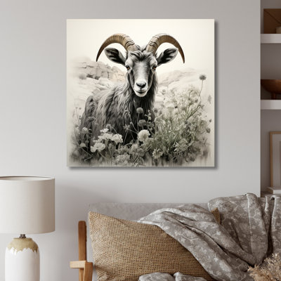 Portrait de chèvre noir gris anthracite II