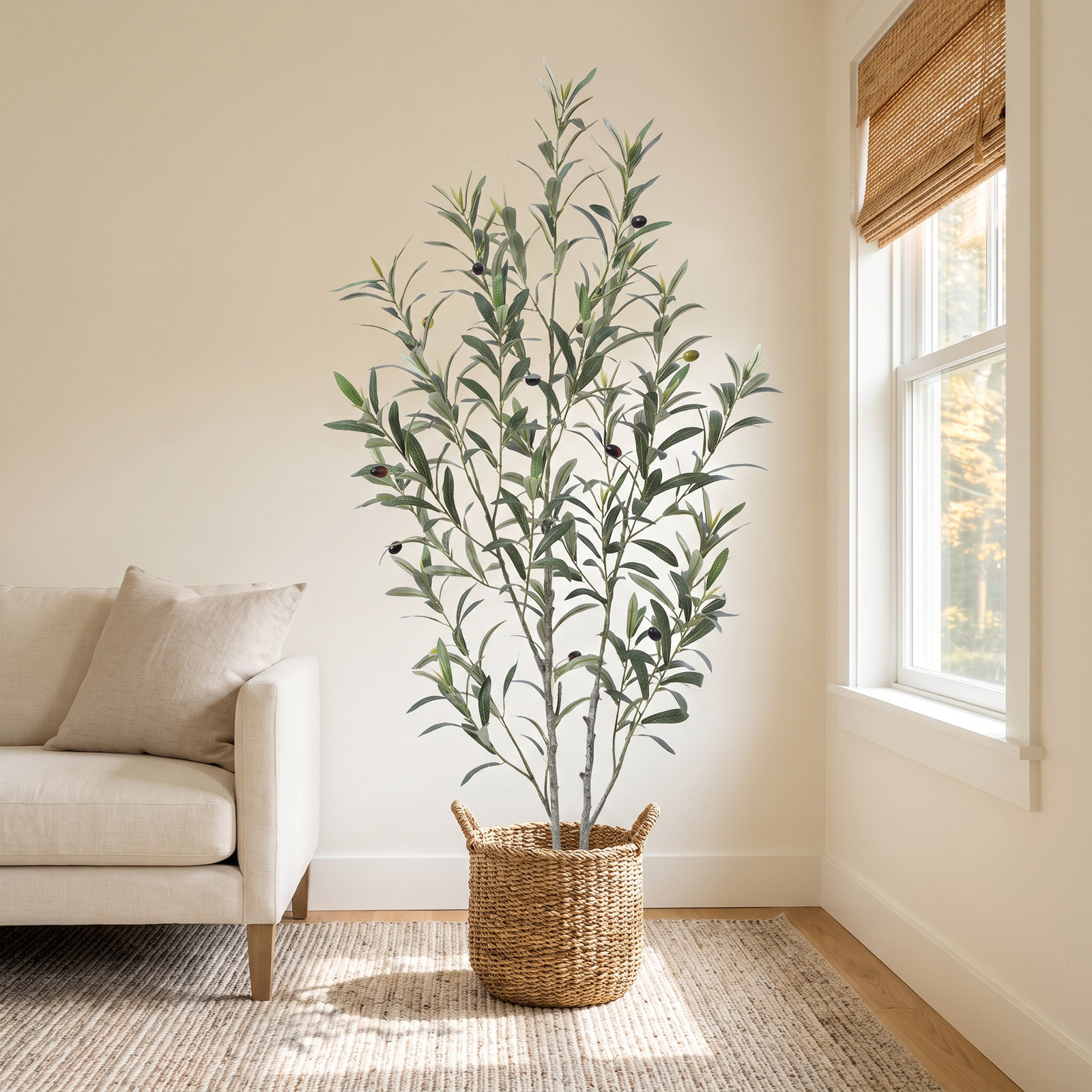 Adcock Olive Tree in Pot, 48" H x 46" W x 46" D
