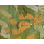Abstract Area Rug in Green/Orange