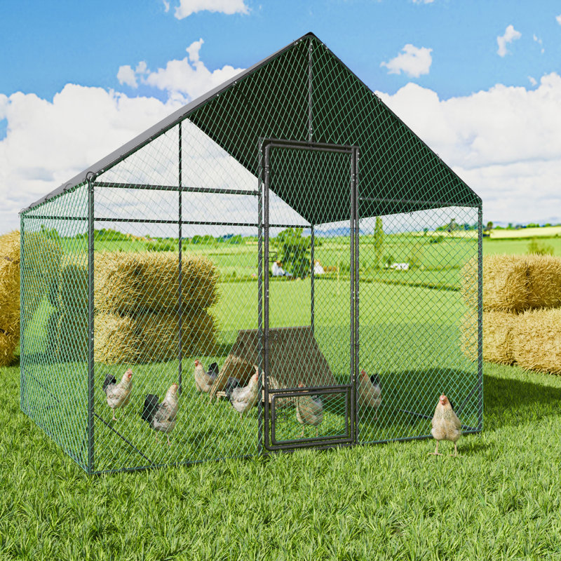 Chicken Run, 276cm H x 300cm W x 207cm D