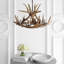 Lustre en bois à 3 lumières Rohrbach-1106423179-1127668933