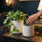 S/2 Textured White Ceramic Planters