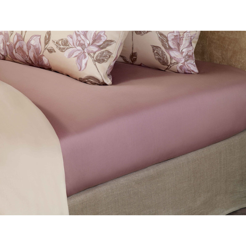 Milena Sham, Decor