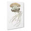 Crown Jellyfish by George Shaw - Wrapped Canvas Painting-55304116