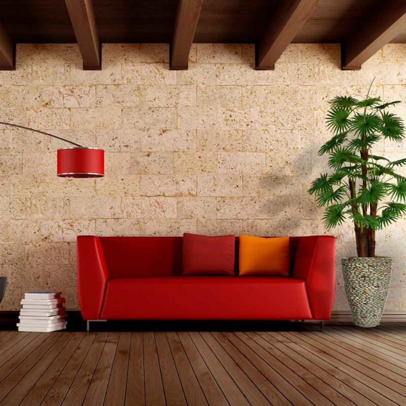 Palmier Panama 66 "Fan