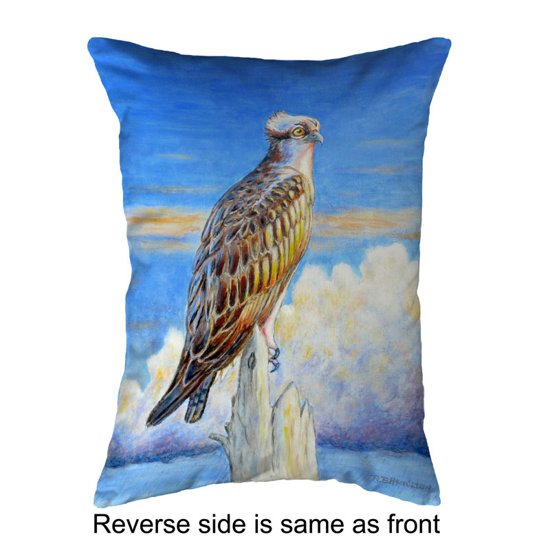  Coussin lombaire intérieur / extérieur Osprey Storm, 14 po x 11 po
