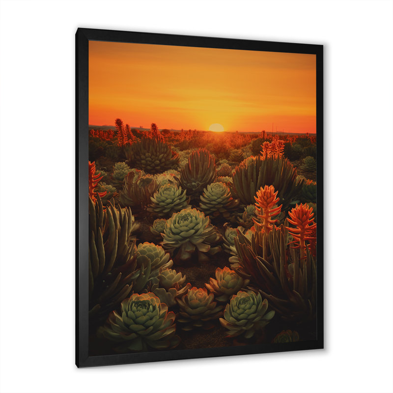 Succulent cactus du désert brûlant au coucher du soleil I, Cadre simple noir, H 32 po x l 24 po x P 1 po