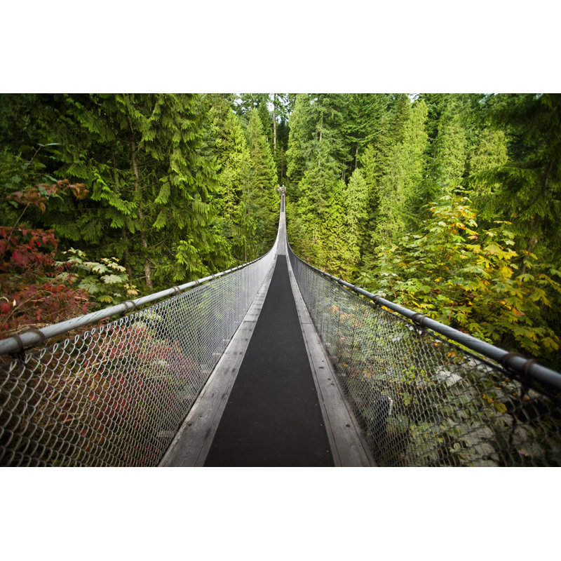 Capilano Suspension Bridge by Pgiam - No Frame Art Prints on Canvas, 51cm H x 76cm W