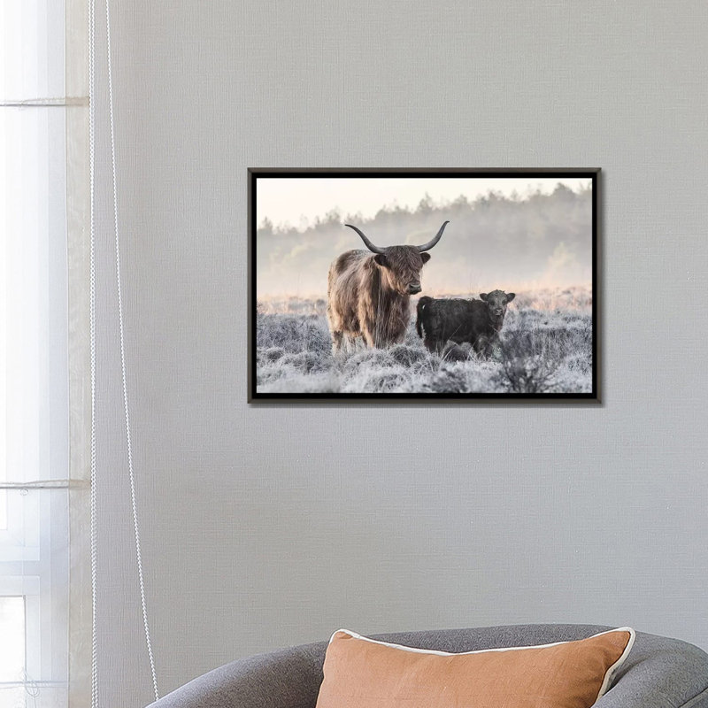 «Highlander and Calf», photographie, Toile encadrée de bois rustique foncé, H 18 po x l 26 po x P 1,5 po