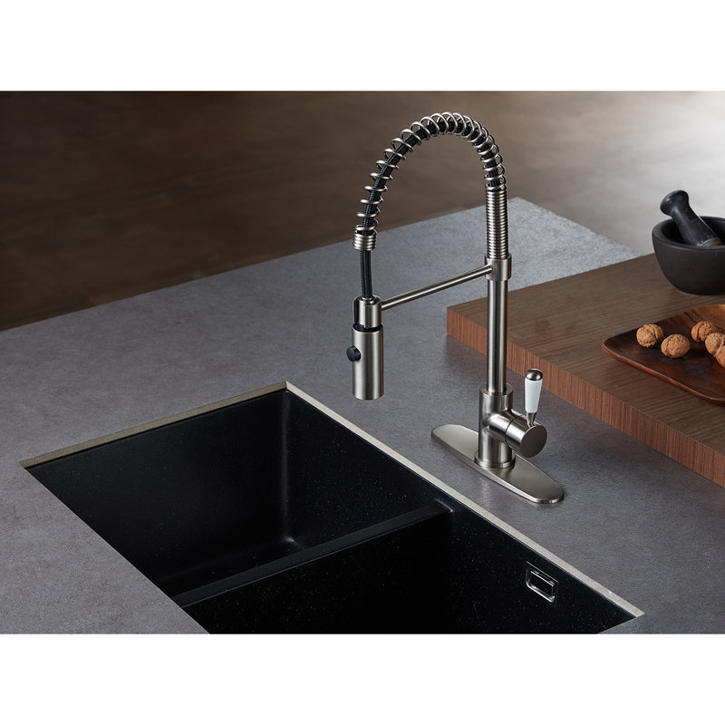 Brushed Nickel Single-Handle Pull-Down Kitchen Faucet