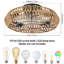 Ventilateur de plafond à cage 7 pales 19,6 po - 4 lumières avec télécommande et ensemble d'éclairage inclus Mattawan