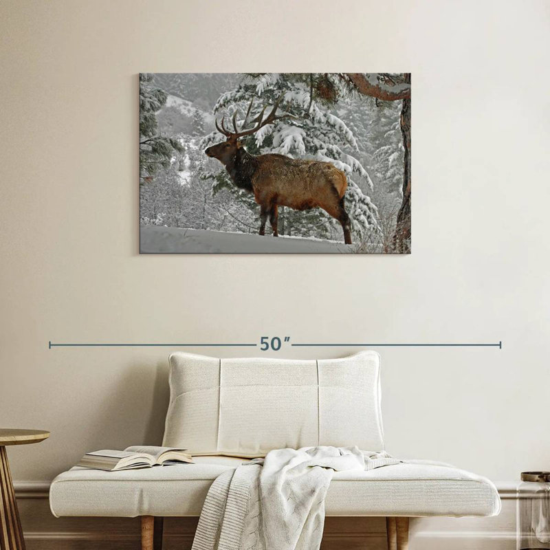 Brampt Washington Winter Elk, 24" H x 36" W