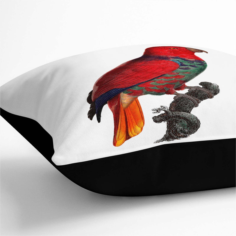 Square Cushion, 55cm H x 55cm W x 20cm D, Black