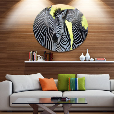 " Zebras Socializing And Kissing "