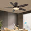 Laurenzia 122cm Ceiling Fan with LED Lights