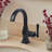 Lulani Aurora Single Hole Bathroom Faucet with Drain Assembly-86713047