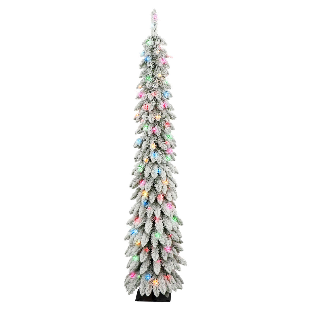 6' Lighted Pine Christmas Tree The Holiday Aisle®