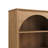 Eshman Engineered Wood Arched Bookcase with Storage for Home Living Room-349777424-336637704