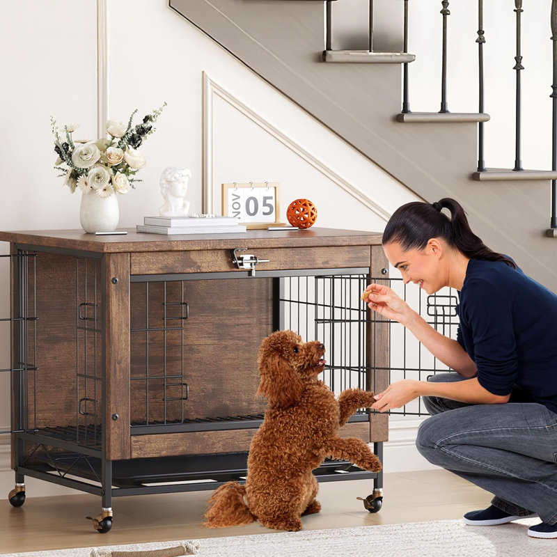 Meuble pour chien 26 po à double porte en bois avec roulettes verrouillables