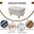 Richell Upholstered Ottoman-686764000-686764001