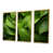 Gold Floater Framed selected