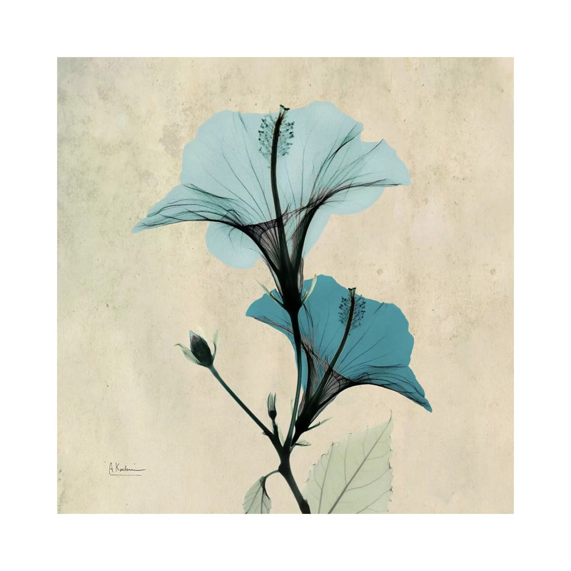Hibiscus Blue by Albert Koetsier - Wrapped Canvas Gallery-Wrapped Canvas Giclée, 31cm H x 31cm W