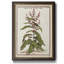 «Munting Botanicals II», reproduction d'art sur toile-172881622