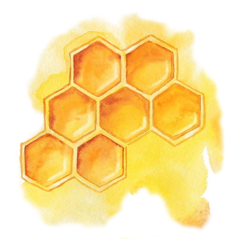 "Ozvaldo Honeycomb With Honey On Canvas" par Natalya Matyushina, impression, H 12 po x l 12 po