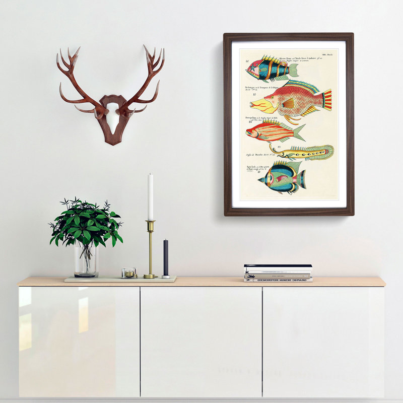East Indies Fish Illustrations XVII by Louis Renard - Picture Frame Graphic Art Print, 48cm H x 36cm W x 2cm D, Walnut Framed