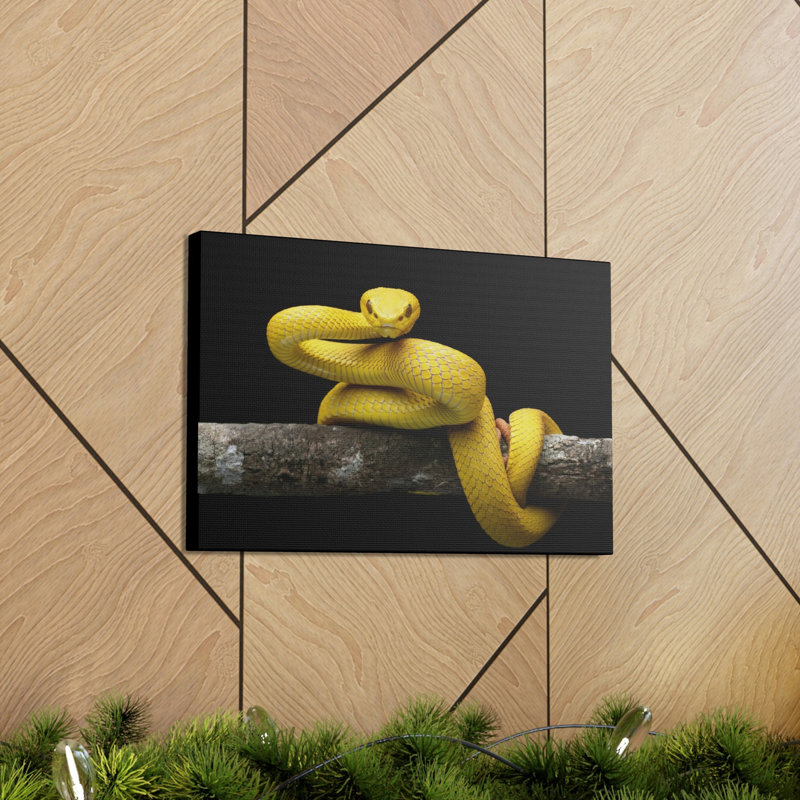 Art mural majestueux Viper, H 12 po x l 16 po