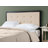 Pierro Upholstered Headboard-13062991-13062987