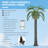 7' Artificial Lighted Palm Tree With 5 Coconuts, 280 Colour Changing LED Light
