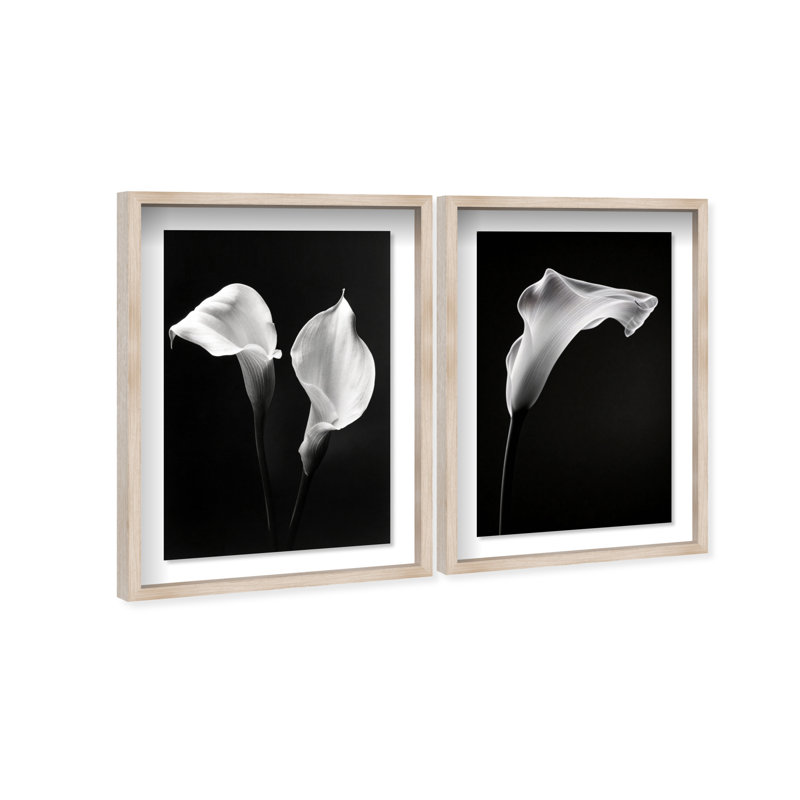 Calla Lily Set Shadowbox Floral & Botanical Print by Oliver Gal, Black Frame, 10 x 15, 46.5" H x 31.5" W