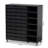 Modern and Contemporary  2 Door Wood 24 Pair Shoe Storage Cabinet with Open Shelves