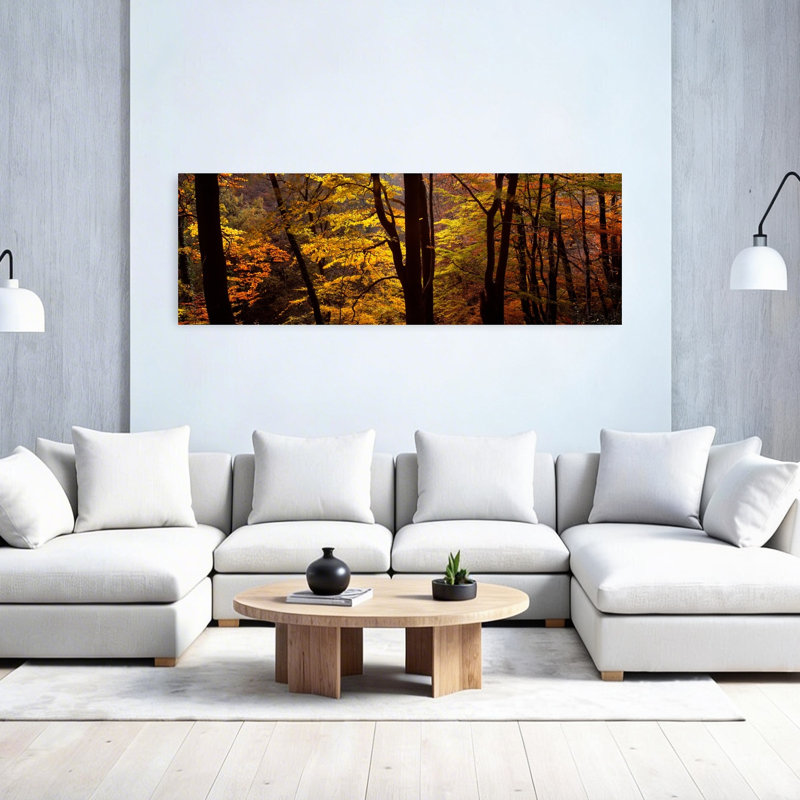 Vue de mi-section des arbres, Littlebeck, North Yorkshire, Angleterre, Royaume-Uni, H 60 po x l 20 po