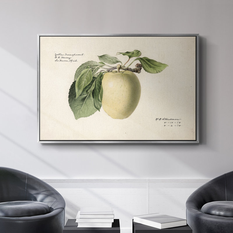 «Vintage Botanical - XLV» sur toile, Toile argentée avec cadre flottant, H 27 po x l 41 po x P 2 po