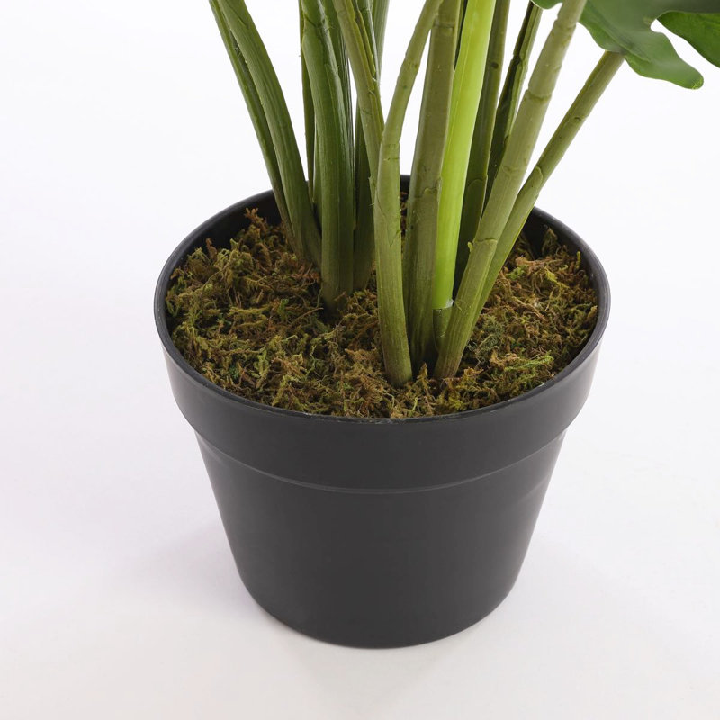 Faux Philodendron Plant in Pot, 60cm H x 70cm W x 70cm D