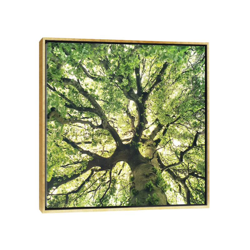 " Under Your Skin " by Tordis Kayma, 37" H x 37" W x 1.5" D, Gold Framed Canvas